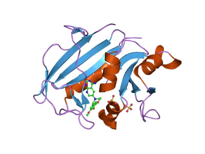 File:PDB 1mvt EBI.jpg