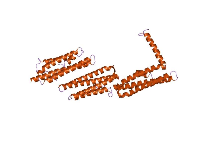 File:PDB 1ow6 EBI.jpg