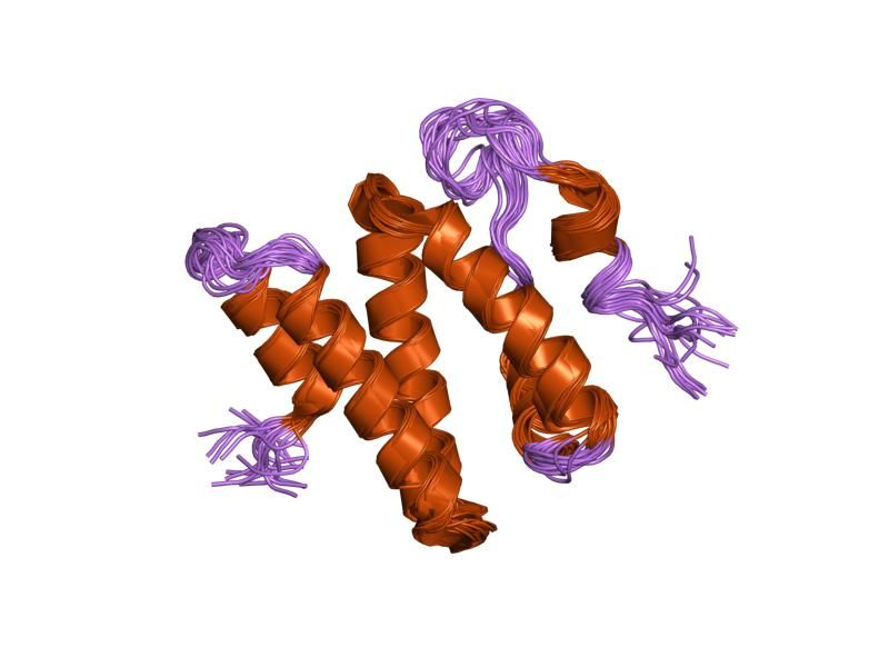 File:PDB 1q2z EBI.jpg