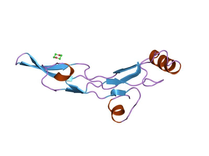 File:PDB 1tgj EBI.jpg