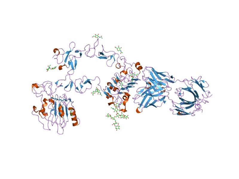 File:PDB 1yy9 EBI.jpg