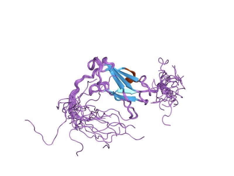 File:PDB 2dib EBI.jpg