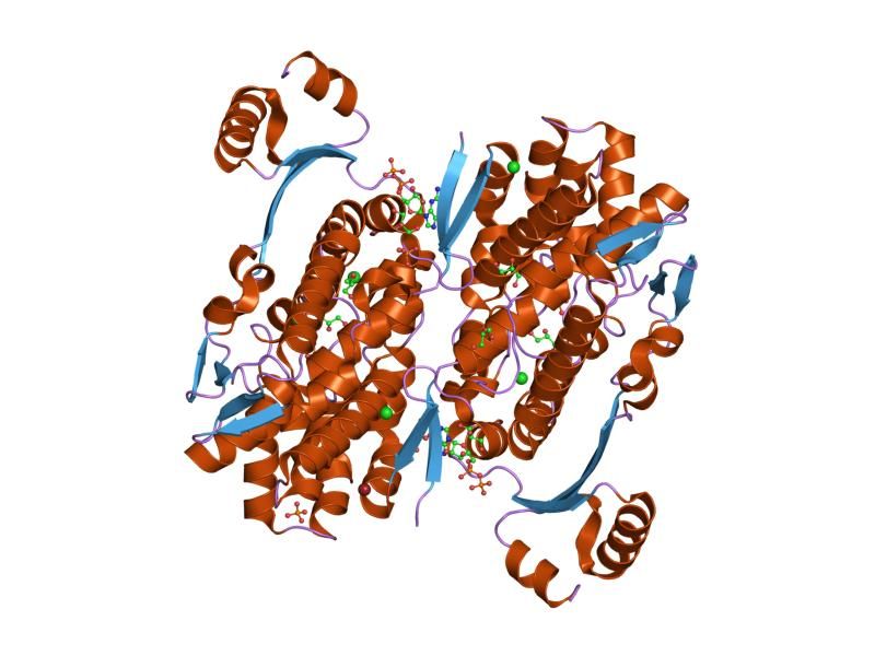 File:PDB 2hek EBI.jpg