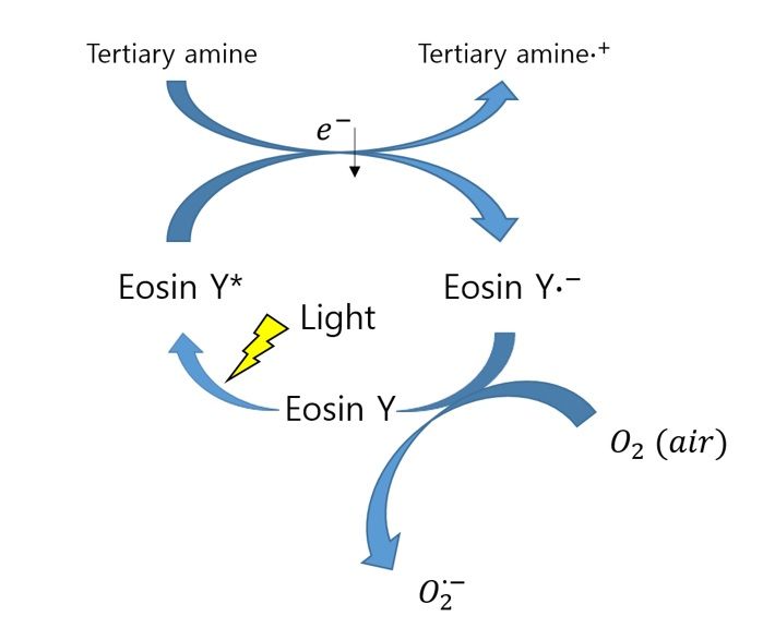 File:Proposed mechanism of regeneration of eosin.jpg