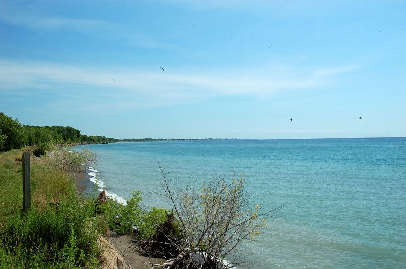 File:Wheatley Provincial Park - Beach.jpg