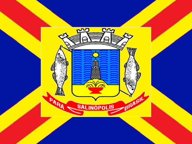 File:Bandeira de Salinópolis.png