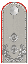 File:DH261-Oberstleutnant.png