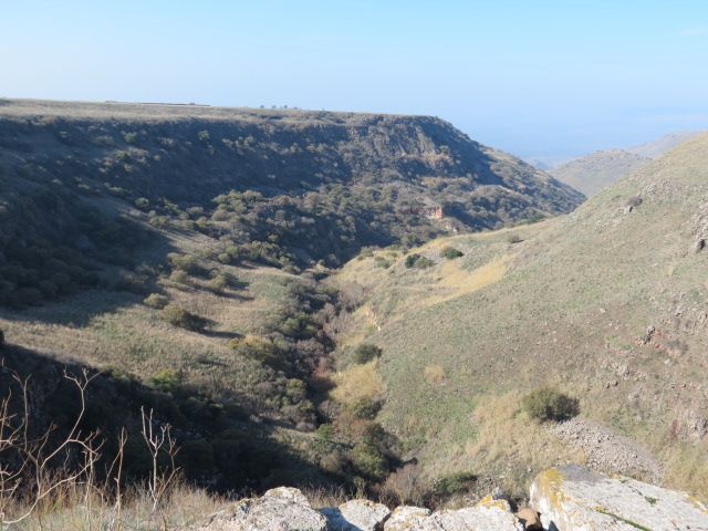 File:Gamla in Golan 04.jpg