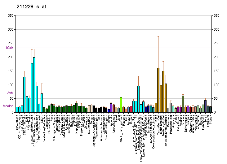 File:PBB GE RAD17 211228 s at fs.png