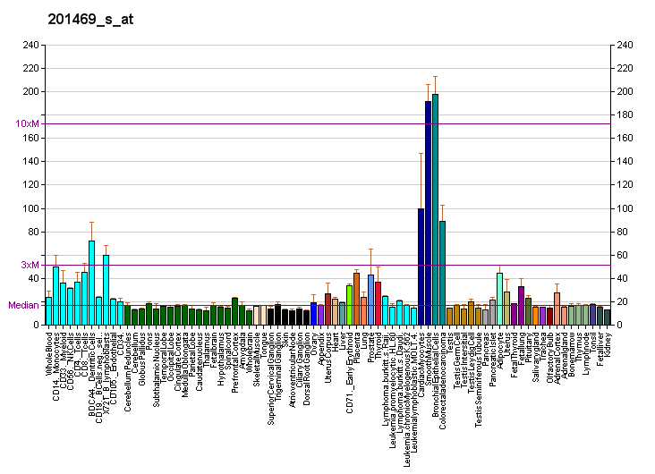 File:PBB GE SHC1 201469 s at fs.png