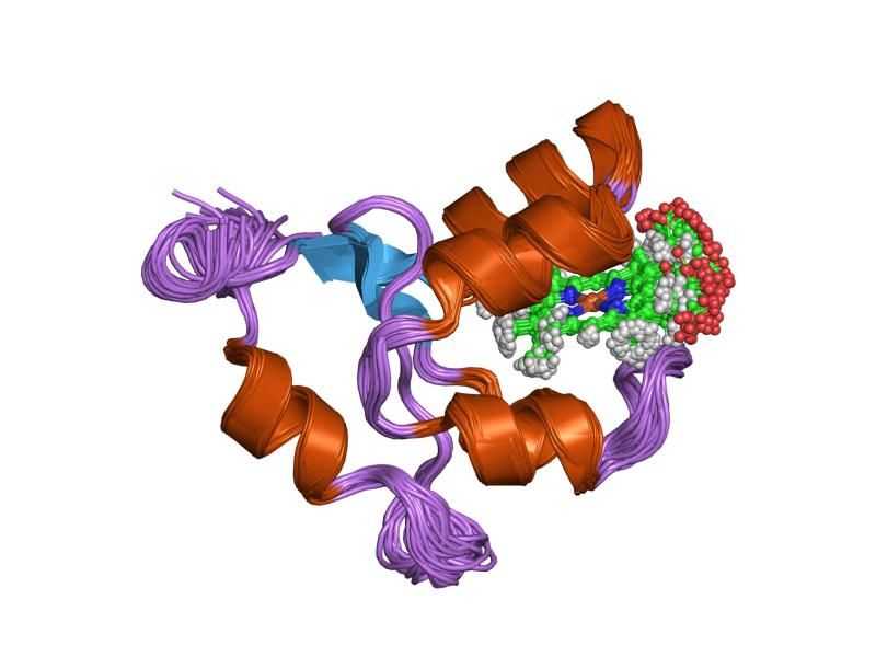 File:PDB 1f04 EBI.jpg