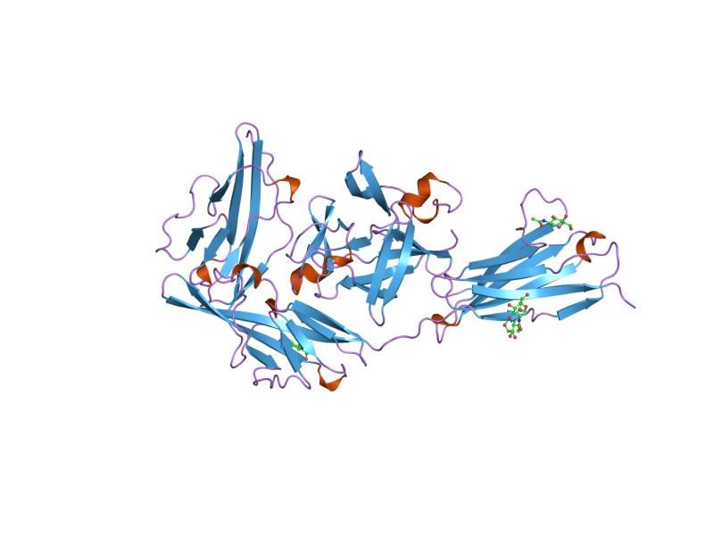 File:PDB 1ira EBI.jpg