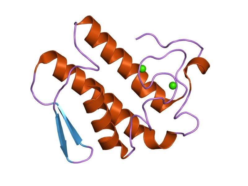 File:PDB 1n29 EBI.jpg