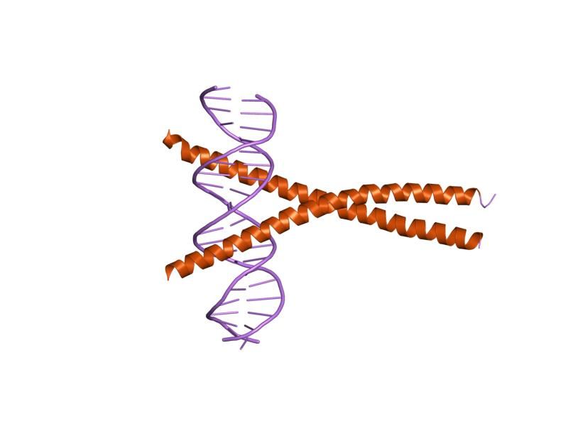 File:PDB 1nwq EBI.jpg