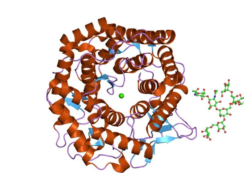 File:PDB 1nxc EBI.jpg