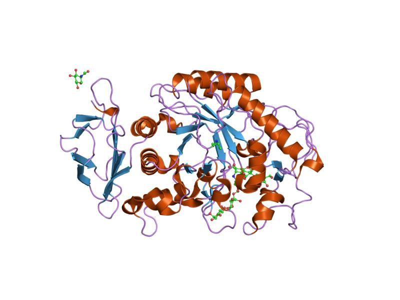 File:PDB 1xh0 EBI.jpg