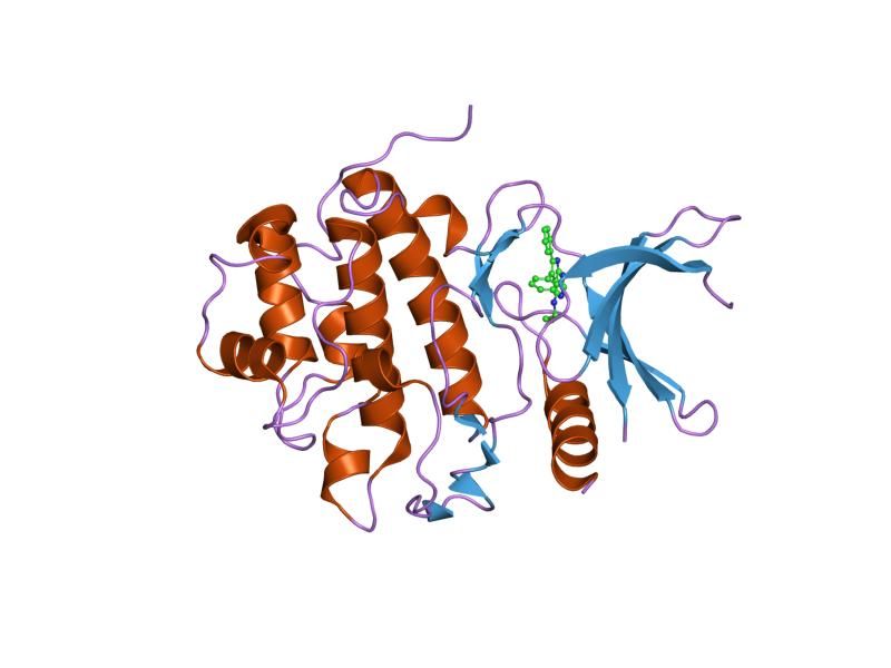 File:PDB 2brm EBI.jpg