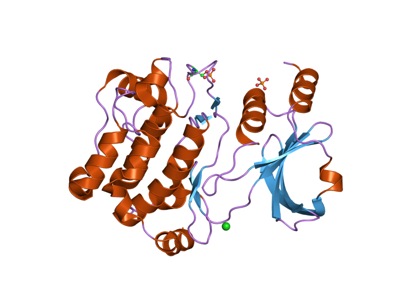 File:PDB 2c30 EBI.png