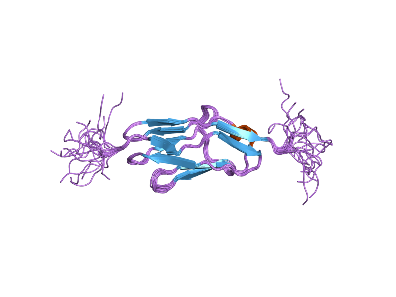 File:PDB 2dm3 EBI.png