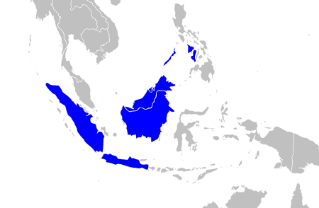 File:Prionailurus javanensis range map.png