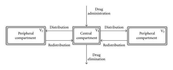 File:Schematic-representation-of-a-three-compartment-model.png.jpg