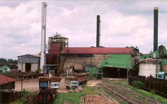 File:Sugar mill consuelo.jpg