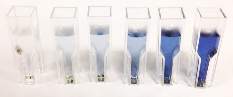 File:Tyrosin standards developed by Folin-Ciocalteu's reagent.jpg