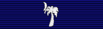 File:USA - SC Palmetto Service Ribbon.jpg