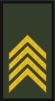 File:ANA SGT.png