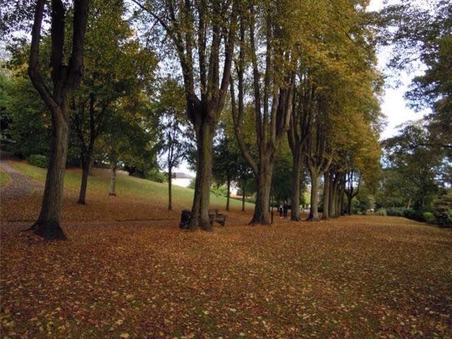 File:Aldershot Municipal Gardens.jpg