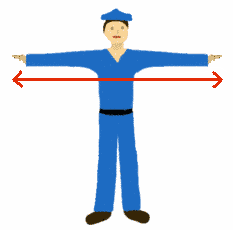 File:Arm span arrow fix.png