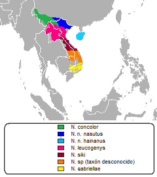 File:Distribución nomascus.png