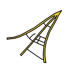 File:Leaf morphology tooth spinose.png