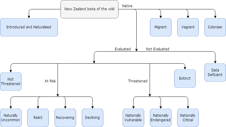 File:NZTCS 2007 classifications.png