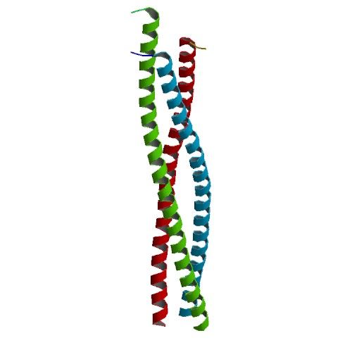 File:PBB Protein DMPK image.jpg