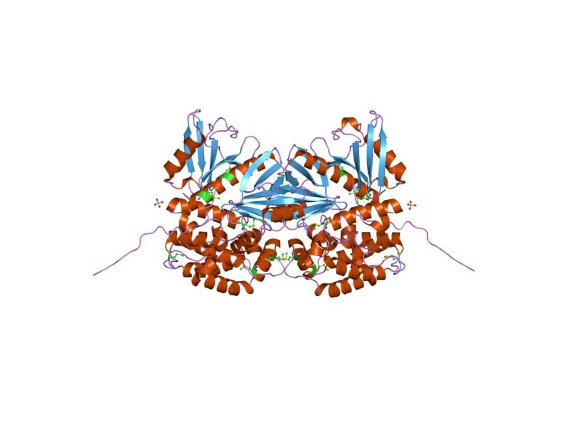 File:PDB 1ef1 EBI.jpg