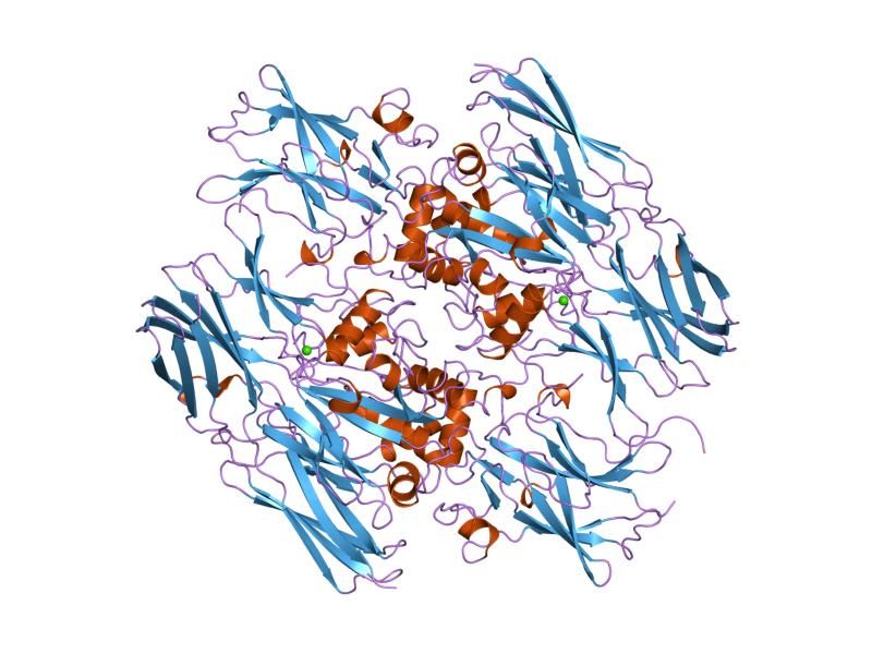 File:PDB 1ggu EBI.jpg