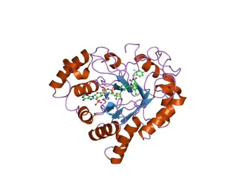 File:PDB 1iei EBI.jpg