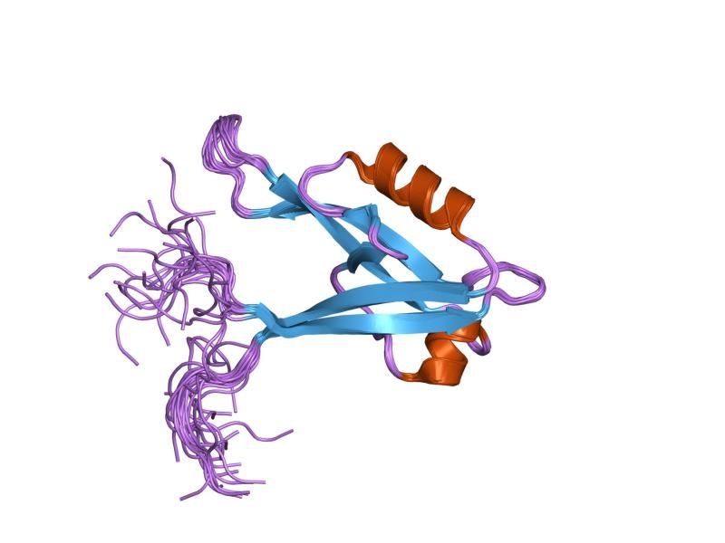 File:PDB 1wf8 EBI.jpg