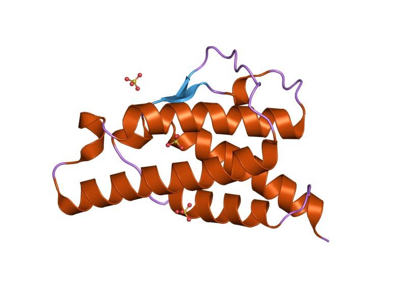 File:PDB 2b8u EBI.jpg