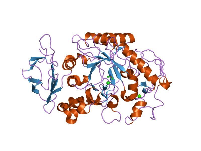 File:PDB 2cpu EBI.jpg