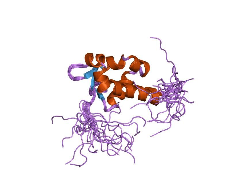 File:PDB 2cqk EBI.jpg