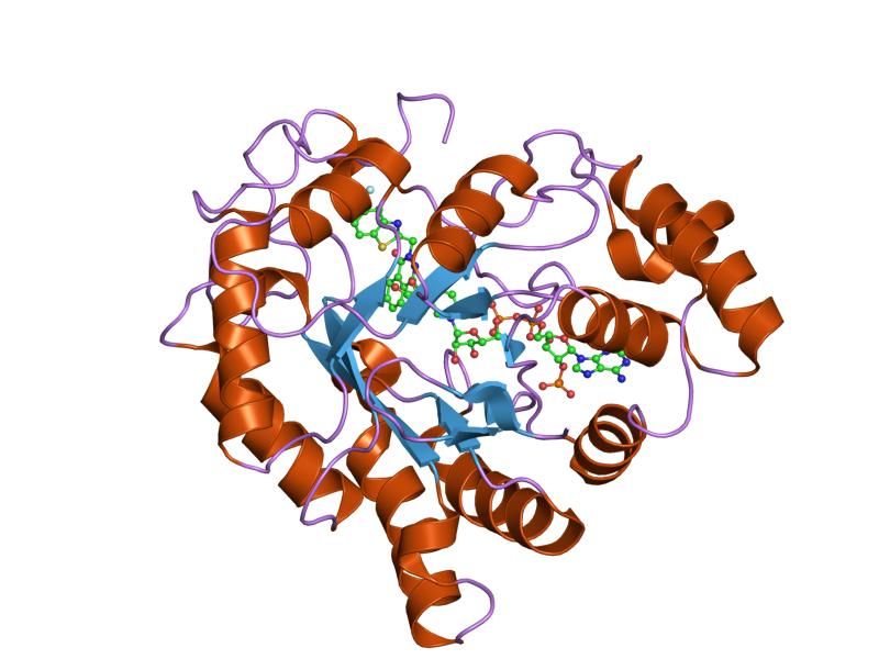 File:PDB 2dux EBI.jpg