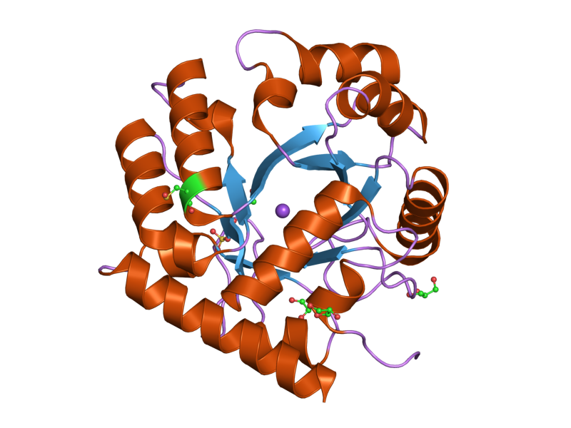 File:PDB 2p1f EBI.png