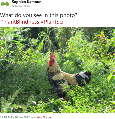 File:Plant blindness 0323.png