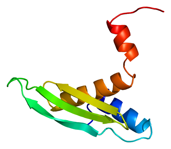 File:Protein STAU2 PDB 1uhz.png