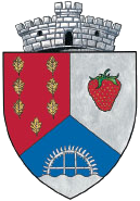 File:ROU AG Albestii de Arges CoA.png