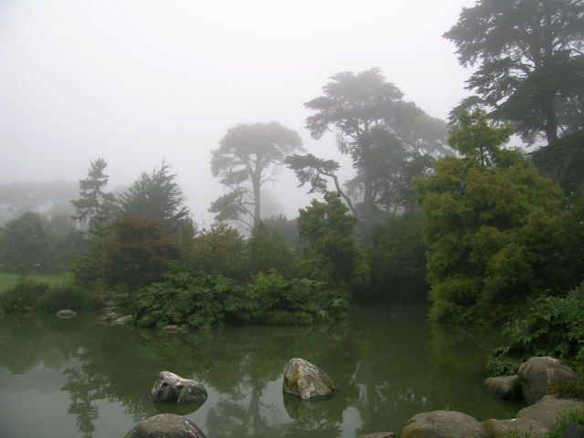 File:San Francisco Botanical Garden.jpg