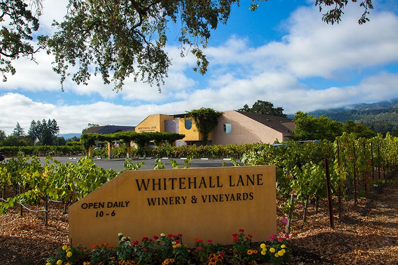 File:Whitehall Lane Winery.jpg