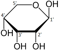 File:Beta-D-Ribopyranose numbered.png